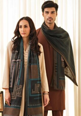 Talaash-e-Manzil (Pursuit) Stole - Teal