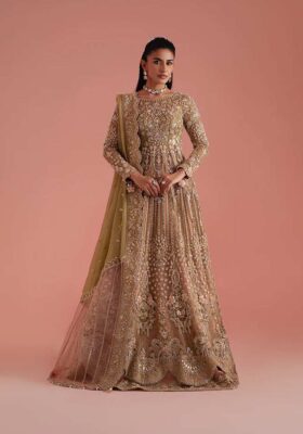 Olive Green Kalidaar, Lehnga & Dupatta