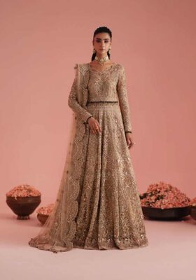 Champagne Gold Kalidaar, Lehnga & Dupatta