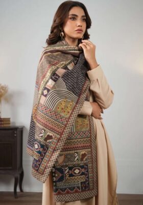 Shab-e-Taab (Luminous Night) - Stole