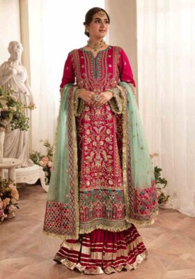 Magenta Shirt and Sharara