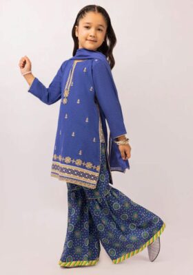 Blue Dobby 3Pc Stitched