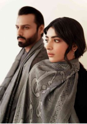 Parvaaz (Wings Of Freedom) Weaved Stole - Grey