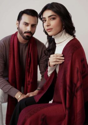 Parvaaz (Wings Of Freedom) Weaved Stole - Maroon