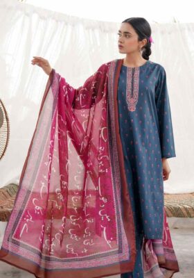 Qadr (Value Of Appreciation) - Magenta Dupatta