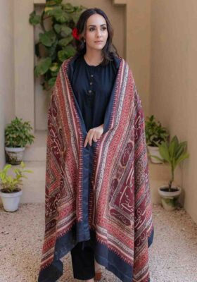 Rashk (Envious Moon) Shawl - Maroon & Tan